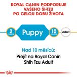 Royal Canin Shih Tzu Puppy granule pro štěně Shih Tzu 1.5 Kg