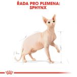 Royal Canin Sphynx Adult granule pro sphynx kočky 400 g