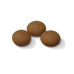 Royal Canin Sporting Life Trail 4300 granule pro psy v zátěži 15 Kg