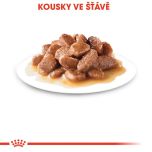 Royal Canin Sterilised Gravy kapsička pro kastrované kočky ve šťávě 85 g
