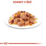 Royal Canin Sterilised Jelly kapsička pro kastrované kočky v želé 85 g