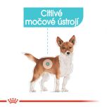 Royal Canin Urinary Care Dog Loaf kapsička s paštikou pro psy s ledvinovými problémy 85 g