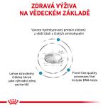 Royal Canin Veterinary Health Nutrition Cat Anallergenic 4 Kg