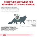 Royal Canin Veterinary Health Nutrition Cat Diabetic 3.5 Kg