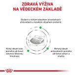 Royal Canin Veterinary Health Nutrition Cat Diabetic 3.5 Kg