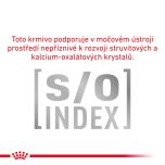 Royal Canin Veterinary Health Nutrition Cat Diabetic Pouch 12x 85 g