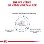Royal Canin Veterinary Health Nutrition Cat Skin & Coat 400 g
