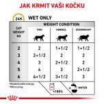 Royal Canin VHN Cat Urinary S/O Pouch in Gravy 12x85 g 85 g