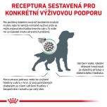 Royal Canin Veterinary Health Nutrition Dog Diabetic 1.5 Kg