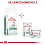 Royal Canin Veterinary Health Nutrition Dog Diabetic 12 Kg