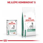 Royal Canin Veterinary Health Nutrition Dog Diabetic Can 410 g