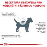 Royal Canin VHN Dog Skin Care Adult Small 2 Kg