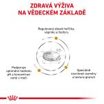 Royal Canin Veterinary Health Nutrition Dog Urinary S/O Small 8 Kg