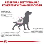 Royal Canin VHN Dog Early Renal 2 Kg