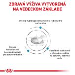 Royal Canin VHN Hypoallergenic Puppy 3.5 Kg