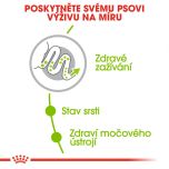 Royal Canin X-Small Adult granule pro dospělé trpasličí psy 3 Kg