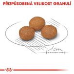 Royal Canin X-Small Adult 8+ granule pro stárnoucí trpasličí psy 500 g