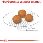 Royal Canin X-Small Adult granule pro dospělé trpasličí psy 1.5 Kg