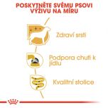 Royal Canin Yorkshire Loaf kapsička s paštikou pro jorkšíra 85 g