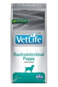 Vet Life Natural DOG Gastro-Intestinal PUPPY 2 kg