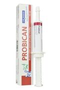 Probican pasta 15 ml