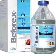 Before X sol 2x100ml