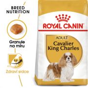 Royal Canin Cavalier King Charles Adult granule pro dospělého kavalír king charles španěl 1.5 Kg