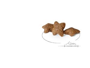 Royal Canin Mini Adult granule pro dospělé psy malých plemen - 800 g