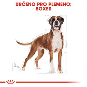 Royal Canin Boxer Adult granule pro dospělého boxera 12 Kg