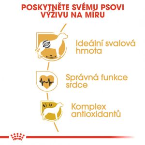 Royal Canin Boxer Adult granule pro dospělého boxera 12 Kg