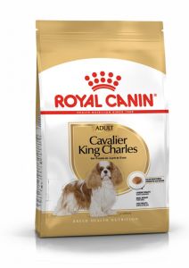 Royal Canin Cavalier King Charles Adult granule pro dospělého kavalír king charles španěl 1.5 Kg