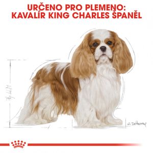 Royal Canin Cavalier King Charles Adult granule pro dospělého kavalír king charles španěl 1.5 Kg