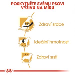Royal Canin Cavalier King Charles Adult granule pro dospělého kavalír king charles španěl 1.5 Kg