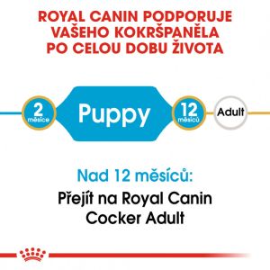 Royal Canin Cocker Puppy granule pro štěně kokršpaněla 3 Kg