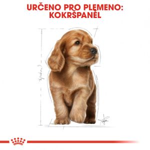 Royal Canin Cocker Puppy granule pro štěně kokršpaněla 3 Kg