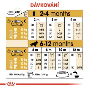 Royal Canin Cocker Puppy granule pro štěně kokršpaněla 3 Kg
