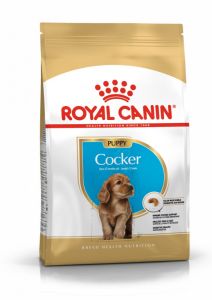 Royal Canin Cocker Puppy granule pro štěně kokršpaněla 3 Kg