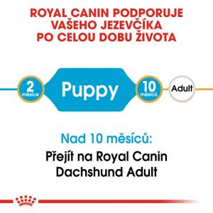 Royal Canin Dachshund Puppy granule pro štěně jezevčíka 1.5 Kg