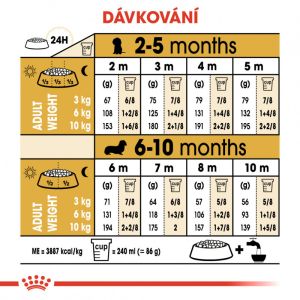 Royal Canin Dachshund Puppy granule pro štěně jezevčíka 1.5 Kg