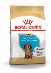 Royal Canin Dachshund Puppy granule pro štěně jezevčíka 1.5 Kg