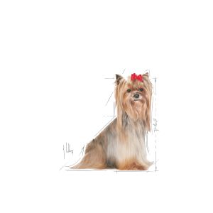 Royal Canin Yorkshire Adult 8+ granule pro dospělého jorkšíra staršího osmi let - 2 kg
