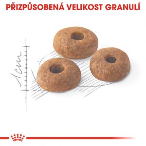 Royal Canin Fit granule pro správnou kondici koček 2 Kg