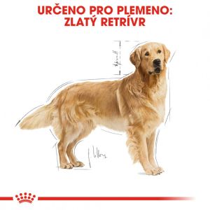 Royal Canin Golden Retriever Adult granule pro dospělého zlatého retrívra 12 Kg