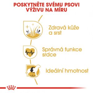 Royal Canin Golden Retriever Adult granule pro dospělého zlatého retrívra 12 Kg