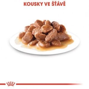 Royal Canin Hairball Care Gravy kapsička pro kočky ve šťávě pro správné vylučování smotků ve šťávě 85 g