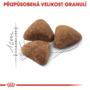 Royal Canin Indoor granule pro kočky žijící uvnitř 400 g