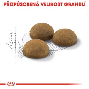Royal Canin Indoor Longhair granule pro kočky žijící uvnitř a zdravou srst 2 Kg