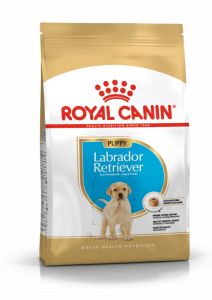 Royal Canin Labrador Puppy granule pro štěně labradora 3 Kg