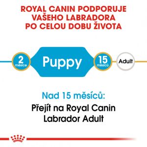 Royal Canin Labrador Puppy granule pro štěně labradora 3 Kg