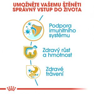 Royal Canin Labrador Puppy granule pro štěně labradora 3 Kg